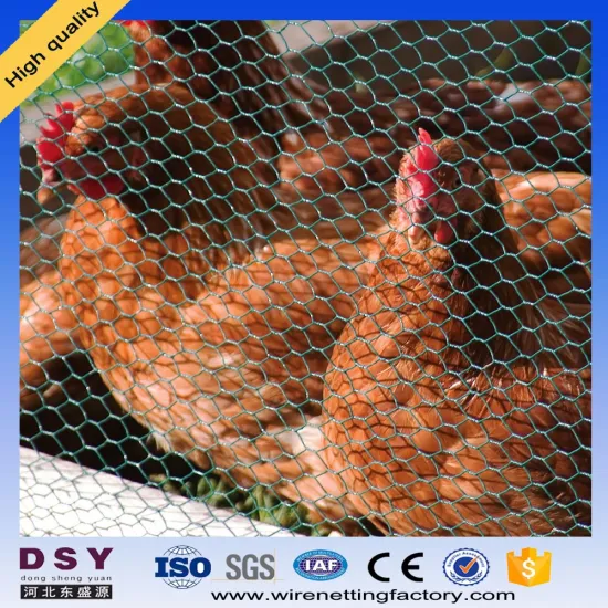 Have Stock Hexagonal Mesh