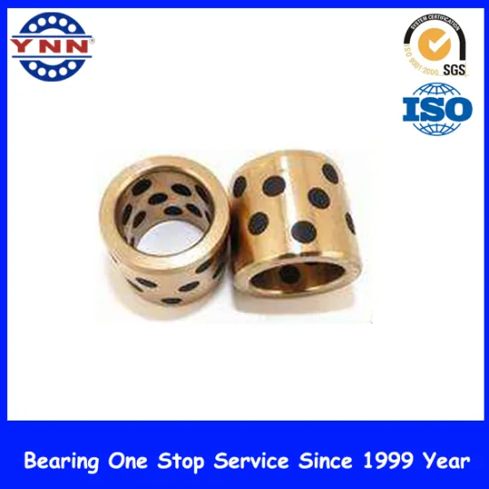 Hot Sales and Copper Bush Oilless Bearing (PAP 7040 P10)