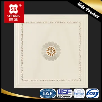 Competitive price house ceiling design types of ceiling board