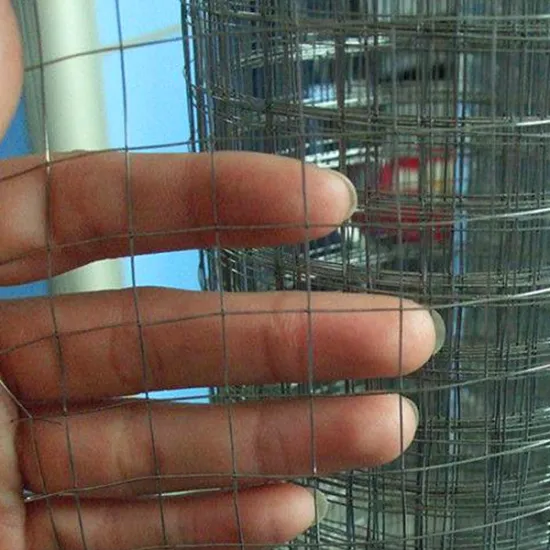 Galvanized Welded Wire Mesh