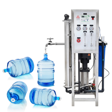 1TPH Mini Water Treatment Plant: Drinking RO Water Treatment Filtration Equipment