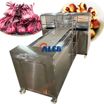 Rostfritt stål plommonhittning och Roselle Core Removing Machine: Effektiv fruktbearbetningslösning