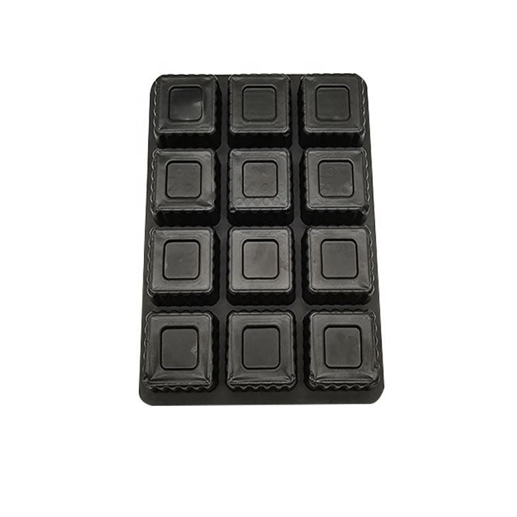 Plastic Inner Tray Jpg