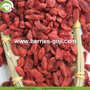 Factory Hot Sale Dried Tibet Goji Berry