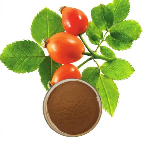 Pure natural Rose hip extract without additives