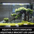 Lampu akuarium yang ditanam untuk mod Nano Tank 2-Lighting