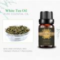 Hot selling 100%pure white tea essential oil