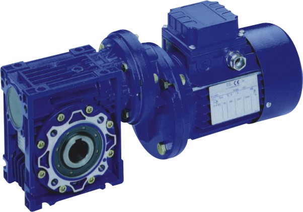 Nmrv Worm Geared Motor