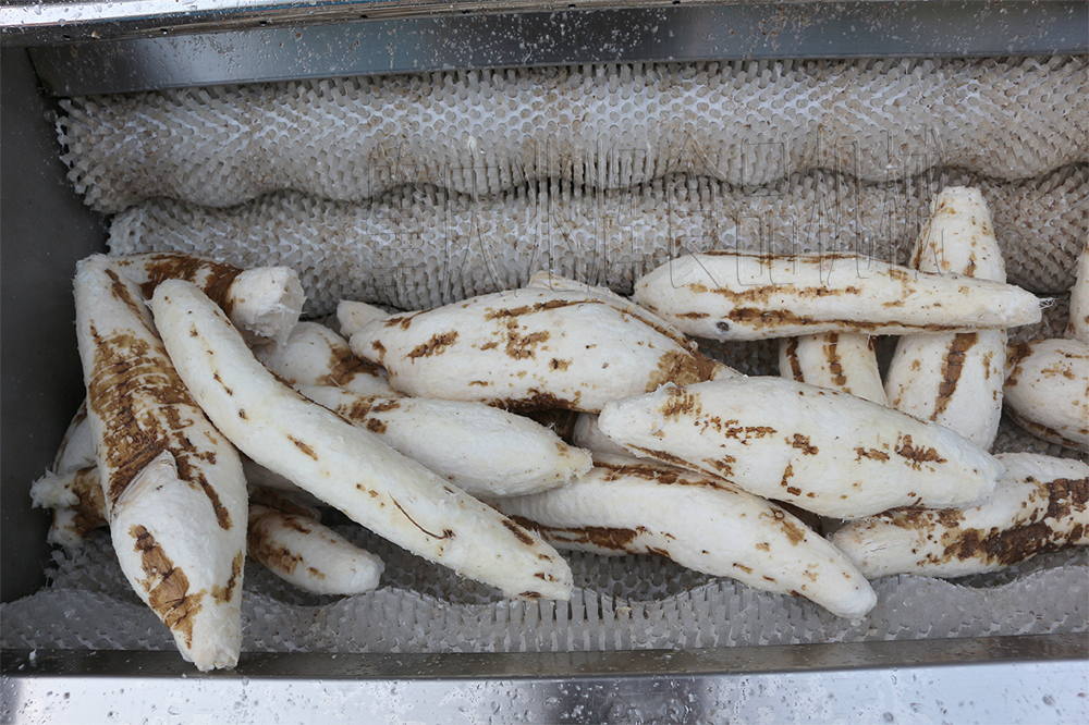 cassava peeling machine