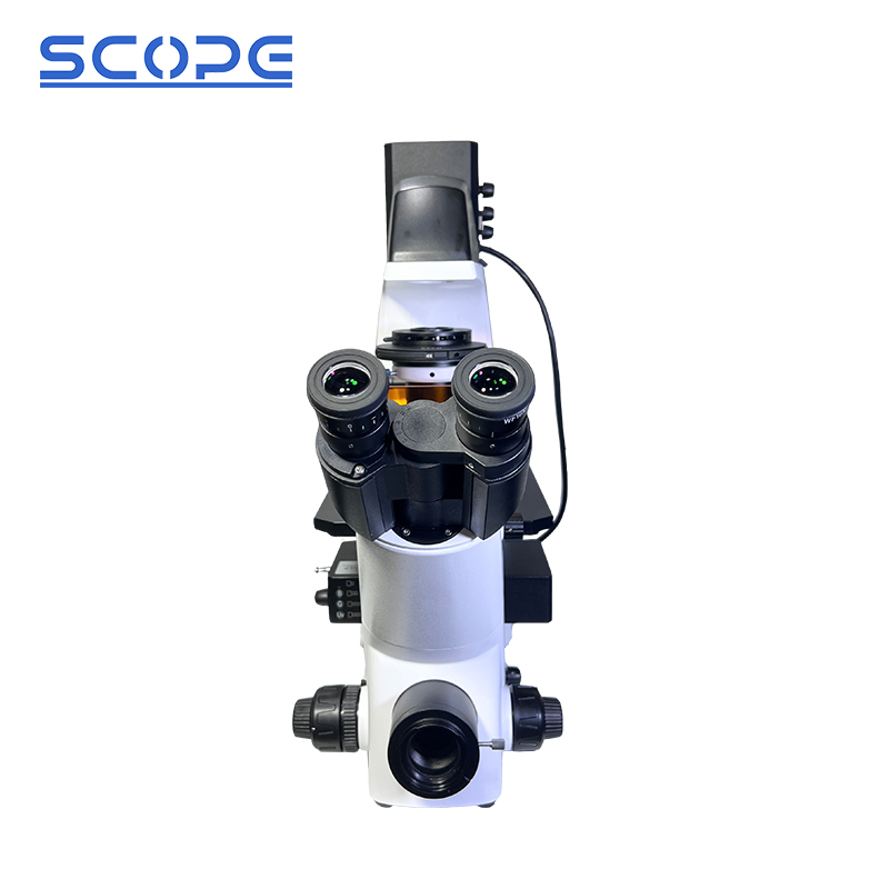 Bds500-fl Inverted Fluorescence Microscope With Trinocular Head 40x ...