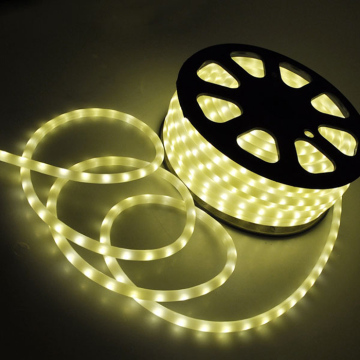 Good price of led rope light 2wires with CE&ISO