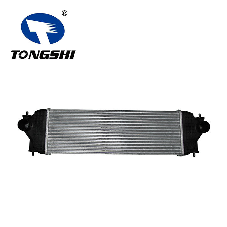 Auto Intercooler Assy for SUZUKI GRAND ESCUDO 11(JT) 1.9 DOIS 05- OEM 13620-67J02/00/01