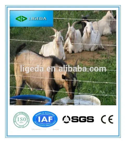 Hinged Joint Cattle Fencing