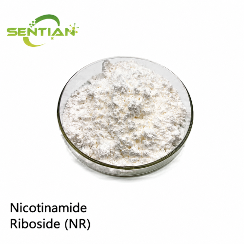 Advanced Plant-Derived Nicotinamide Riboside