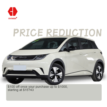 Byd Dolphin: Small Electric Cars with 301km to 405km Range