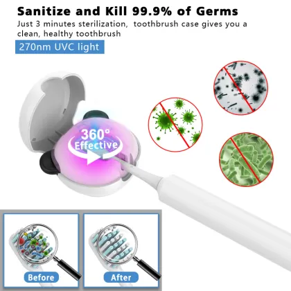 Bear UV Toothbrush Sanitizer and Holder