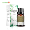 Destilação OEM Sweet Fennel Essential Oil for Flatulence