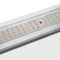 Samsung LM301B 640W Wachsen Lampe für Gewächshaus