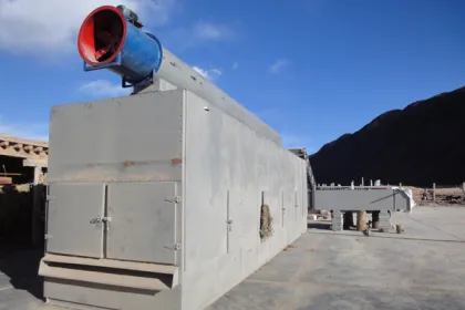 cabbage special drying equipment