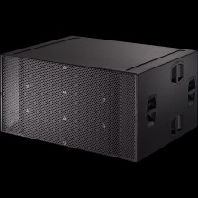 B22 Dual 18 Inch Pro Subwoofer System