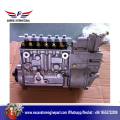 Pompe à essence P10Z002 des pièces de moteur de Shangchai C6121 BH6P110