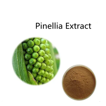 Buy online active ingredients Pinellia Extract powder