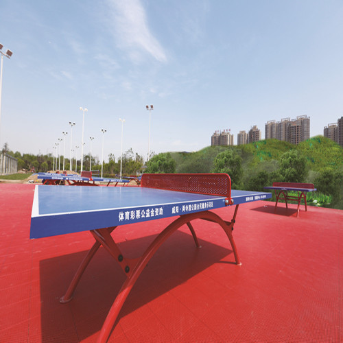 wybór gier młodzieżowych Podłogi do tenisa stołowego ENLIO z PVC