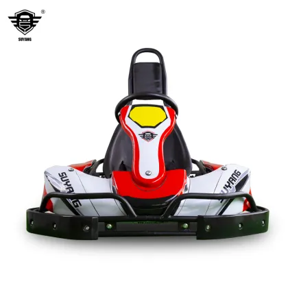 Electric Race Karting: Factory Sales Kids Go Kart 300W*2