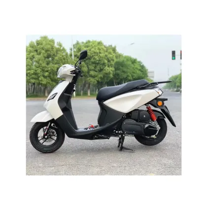 Gasoline Scooter: Other Gas-Powered Moto Bikes and Minimoto