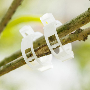 vegetables tomato trellis clip plant support hanging clips