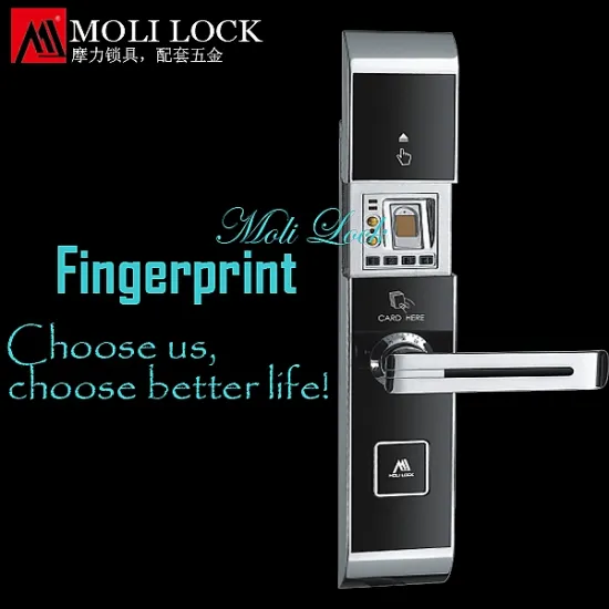 double door lock mechanism, electric meter box key, fingerprint biometrics
