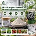 مسحوق Streptomyces avermitilis Microbial لإدارة التربة ومنطقة الجذر