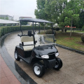 2 person gas power golf carts for sale