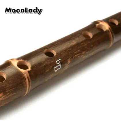 G/bB Key Bamboo Flute Dark Brown Vertical Flute Musical Instruments Chinese Traditional Hadmade Woodwind Instrument Xiao
