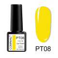 PT08