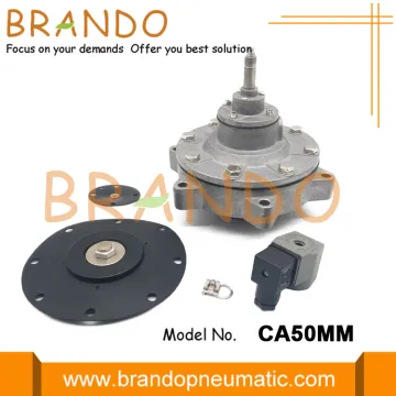 Goyen Type 2'' CA50MM Immersion Valve