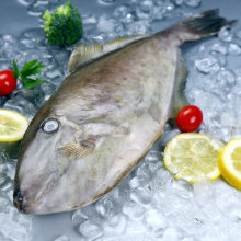 Čerstvě mražená kožená bunda