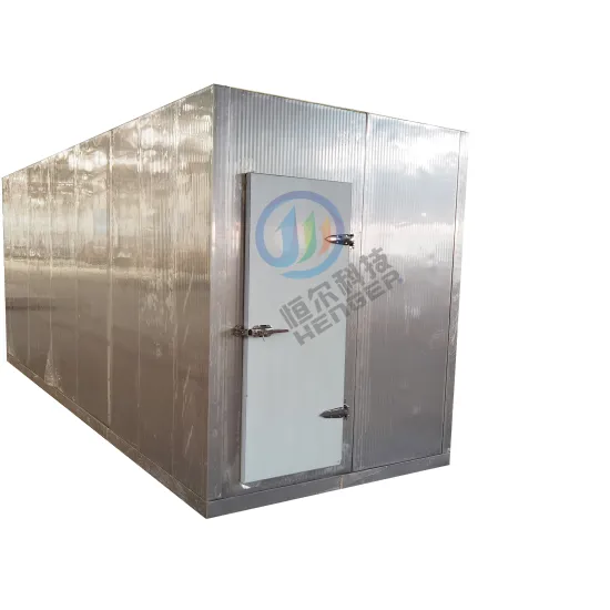 Tuna Defrosting Machine: Direct Selling Defrost Machine for Frozen Meat Thawing