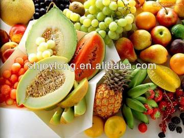 automatic juice processing manufacturer