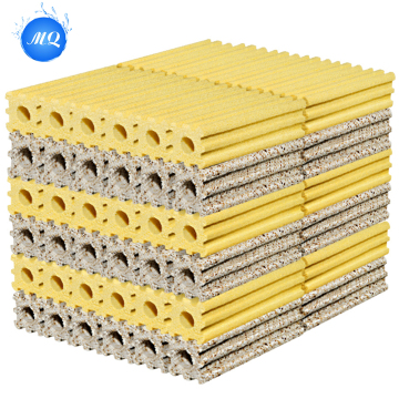 Bactérias aquários eficazes para purificação de água