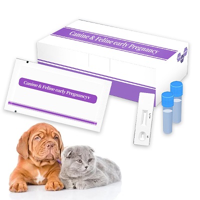 Canine & Feline early Pregnancy