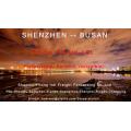 Trasporto da Shenzhen a Busan di consolidamento LCL