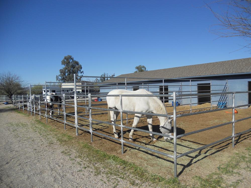 galvanized temporary metal horse round yards