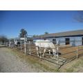 galvanized temporary metal horse round yards