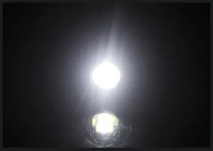 Car LED Light 4014 12SMD 23mm Eagle Eyes