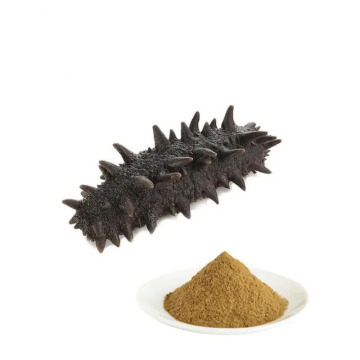Bulk Sea Cucumber Peptide cncsbio