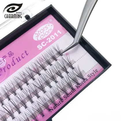 DIY Lash Extension Kit: Individual Fan Mink Eyelashes for Wholesale
