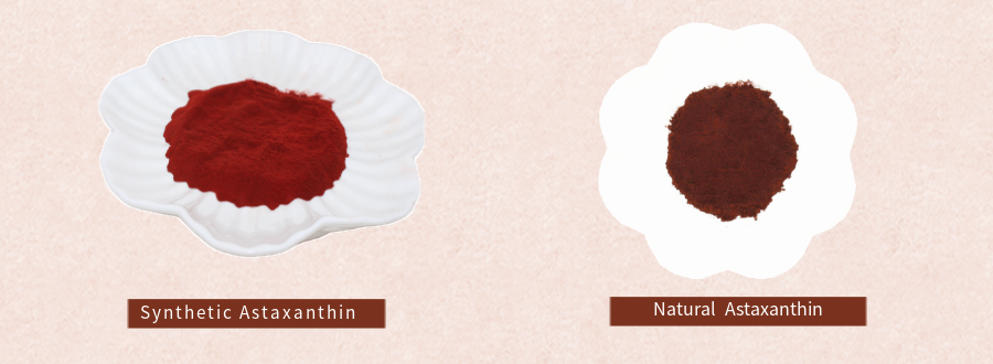 Best Natural Astaxanthin Powder