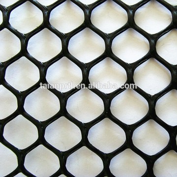 HDPE Geonet/Grass Reinforcement Mat