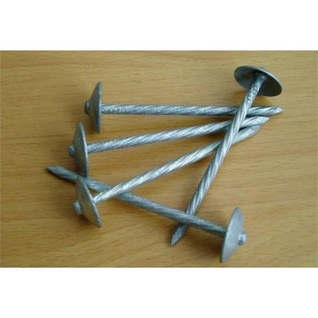 Hot-dipped Galvanized Roofing Nails